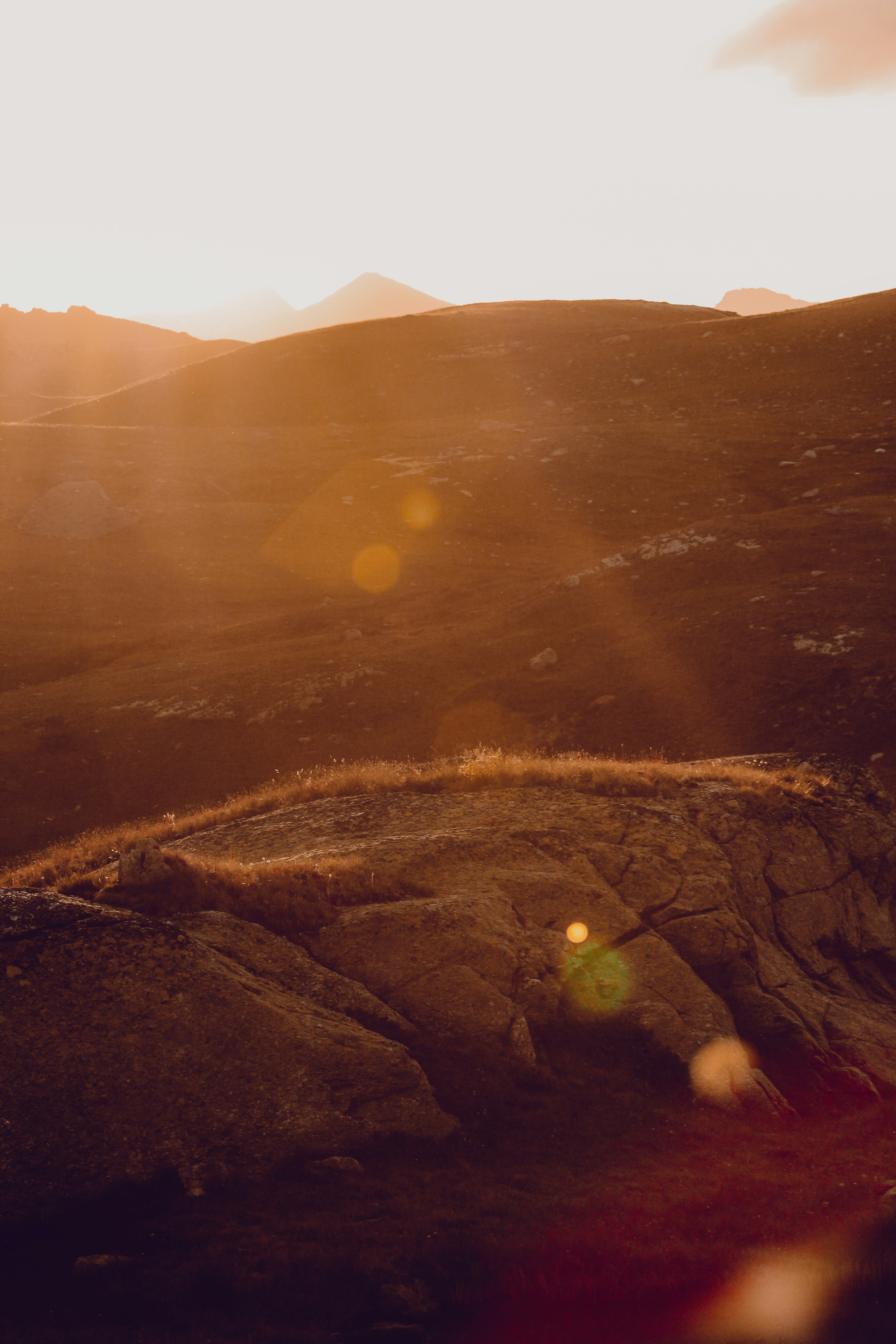 brown and green grass field during sunset